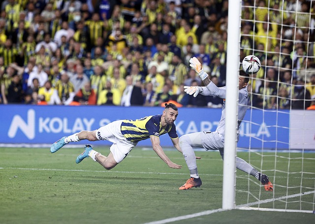 量已突破百 量已突破百