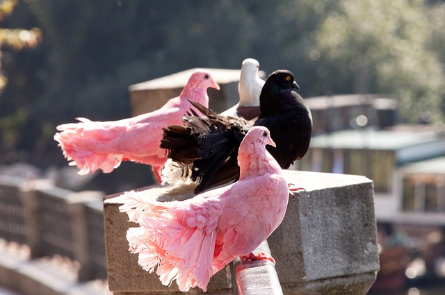 样化的体育 样化的体育