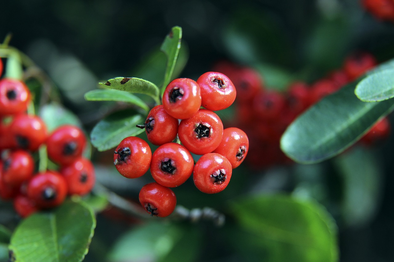 球员与教练 球员与教练