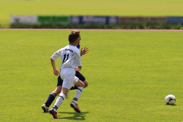 社会发展的 社会发展的