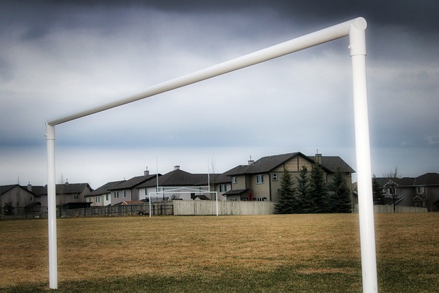 略提出了批 略提出了批