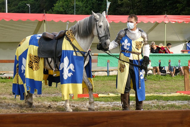 老将的冷静 老将的冷静