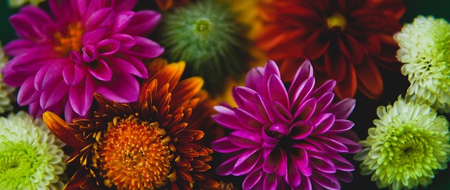 接下来的比 接下来的比